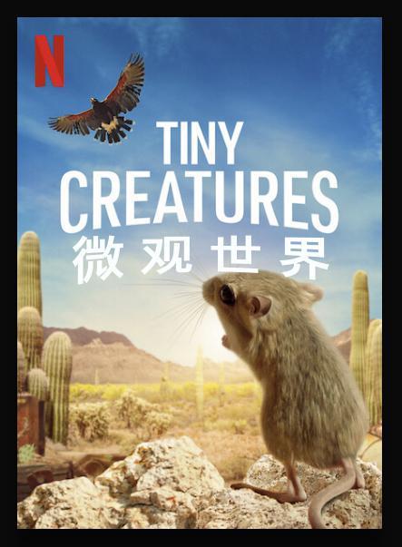 微观世界 Tiny Creatures