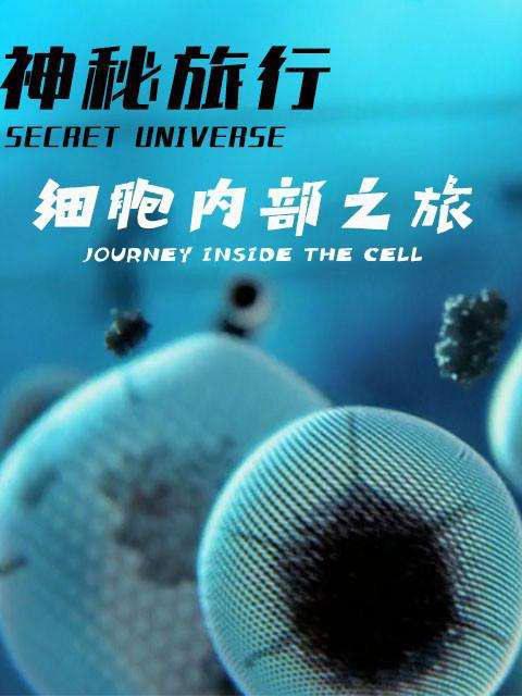 细胞内部之旅